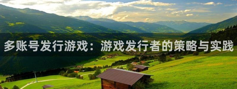 ag街机官网注册平台官网下载：多账号发行游戏：游戏发行者的策略与实践