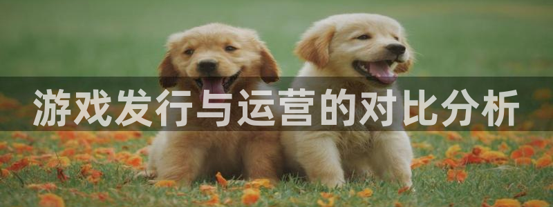 ag街机子文化是什么：游戏发行与运营的对比分析