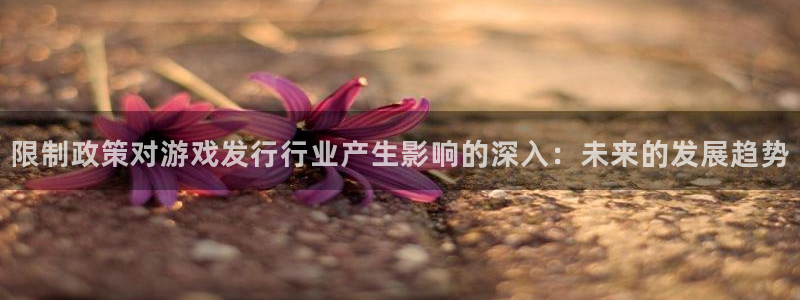 ag街机科技有限公司：限制政策对游戏发行行业产生影响的深入：未来的发展趋势