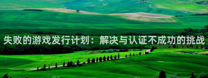 四川ag街机科技有限公司怎么样