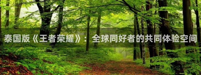 江苏ag街机智得：泰国版《王者荣耀》：全球同好者的共同体验空间