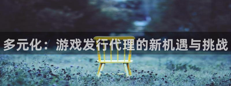 ag街机子集团：多元化：游戏发行代理的新机遇与挑战