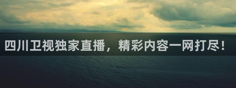 蜘蛛直播nba免费观看：四川卫视独家直播，精彩内容一网打尽！