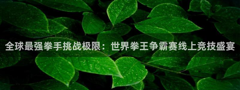 nba在线直播蜘蛛直播：全球最强拳手挑战极限：世界拳王争霸赛线上竞技盛宴