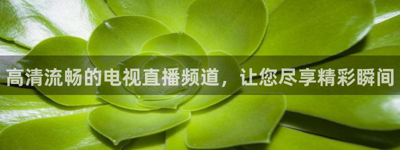 蜘蛛nba直播免费观看：高清流畅的电视直播频道，让您尽享精彩瞬间